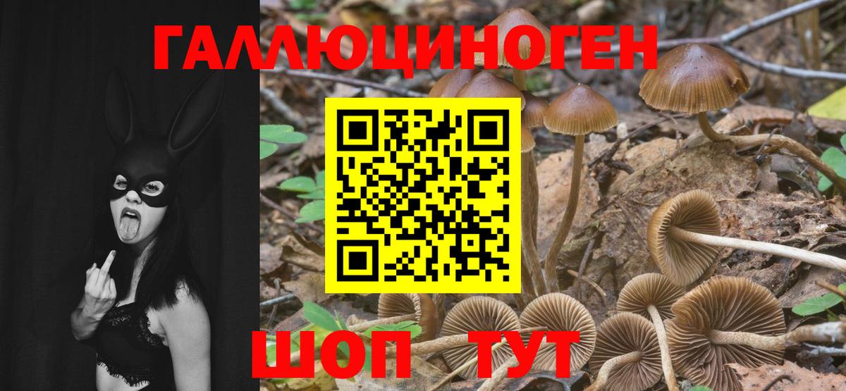 даркнет сайт  Вход с VPN  Армавир  Галлюциногенные грибы MAGIC MUSHROOMS 